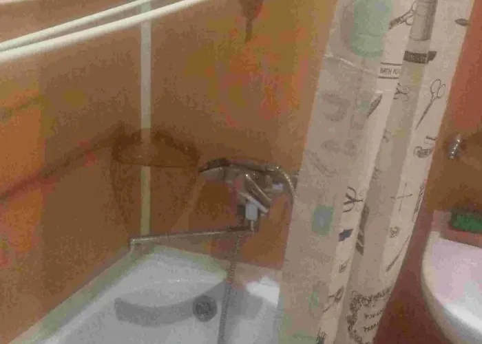 однокомнатная радом с центром * Bŭnzarito